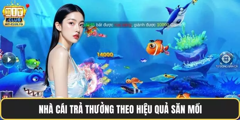 Nhà cái trả thưởng theo hiệu quả săn mồi